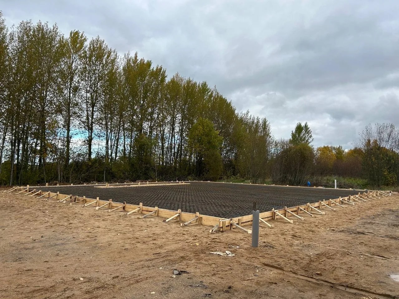 47257bf6 9a71 4729 a5af 669c2ea52537